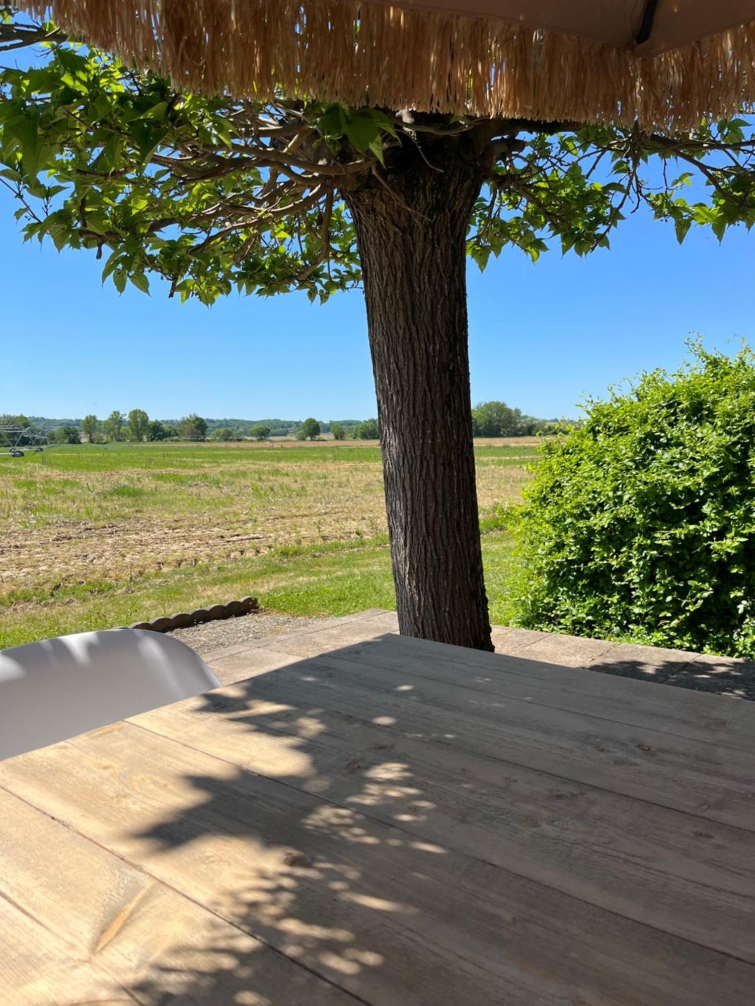 Gite 1, Domaine Logis Gascogne Saint-Justin  Exterior foto